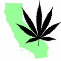 Calif. Pot Legalization Headed to Ballot