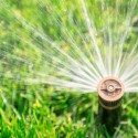 “Pay Attention” To Watering Rules, Fresno Man Tells School District