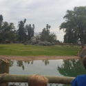 Fresno Zoo Opens the African Adventure!