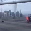 VIDEO: Dog Leads CHP On Bay Bridge Chase