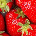 Hepatitis A Fears Linked To Contaminated Strawberries In Tulare County