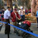 The Eleventh Central Valley Honor Flight Takes To The Skies